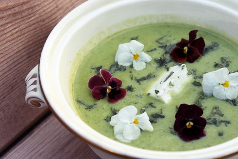 Green soup with edible flowers