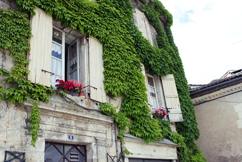 Ivy covered French town house