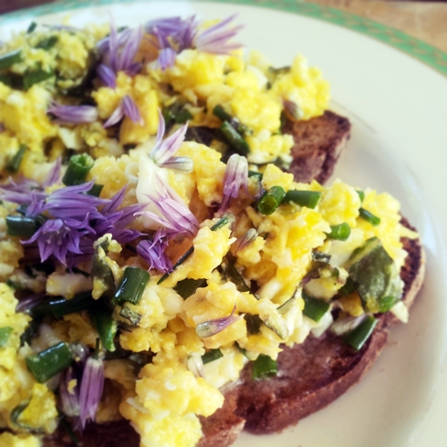 Scrambled eggs with chive flowers